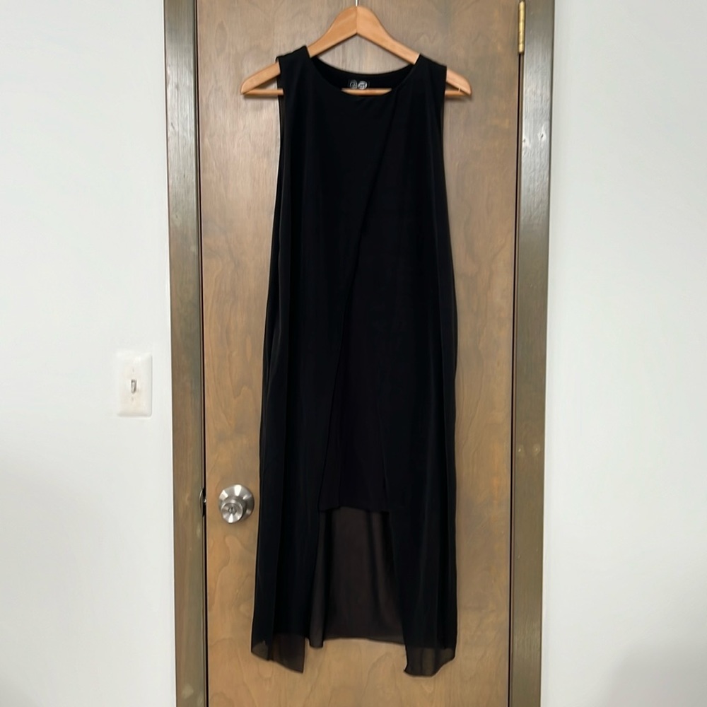 ARITZIA Cheap Monday Black Aline Dress Chiffon Overlay